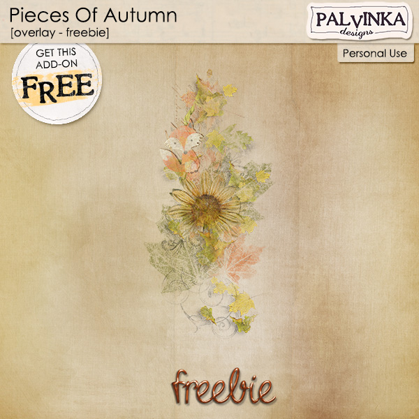 Pieces Of Autumn - Overlay - Freebie