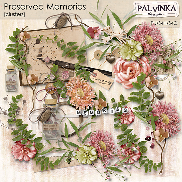 Preserved Memories Clusters