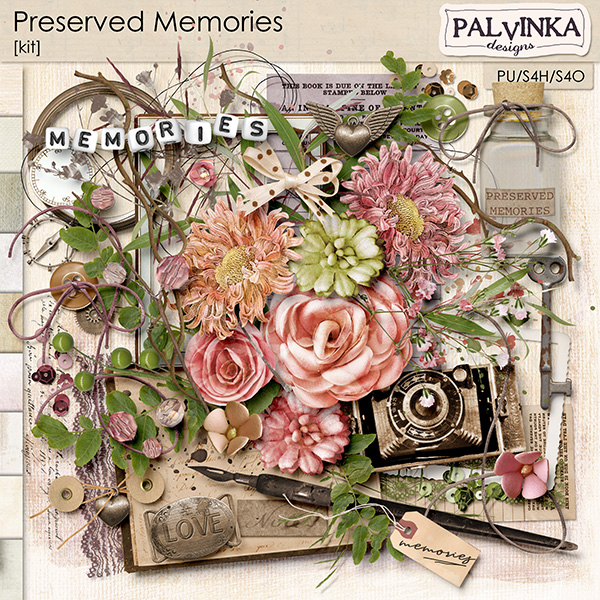 Preserved Memories Kit