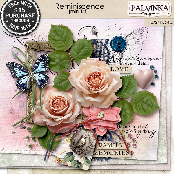 Reminiscence Kit