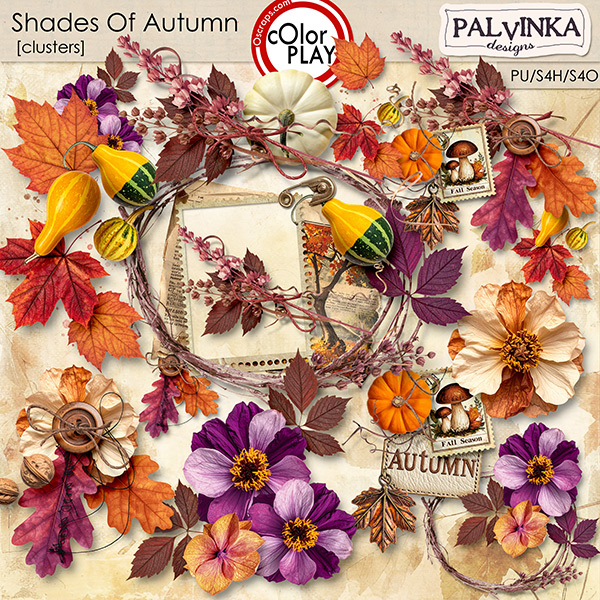 Shades Of Autumn Clusters