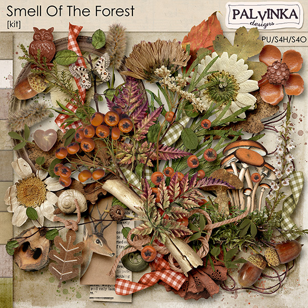 Smell Of The Forest Kit