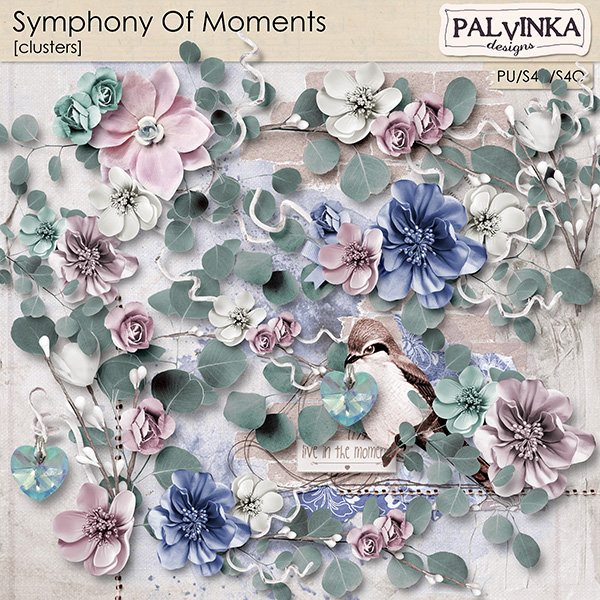 Symphony Of Moments Clusters