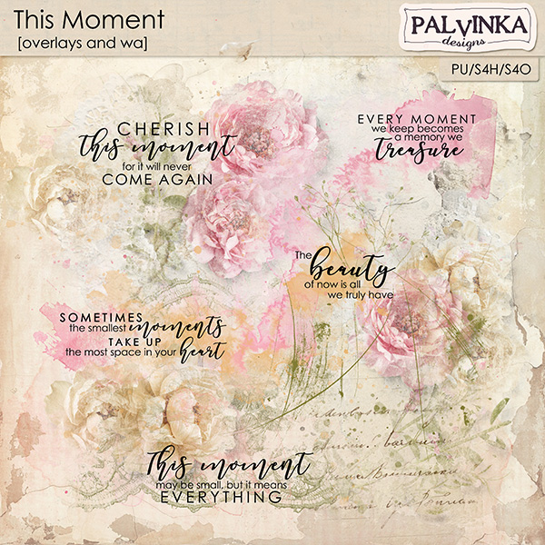 This Moment Overlays and WA