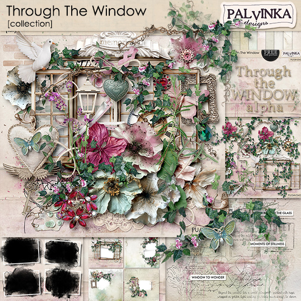 Through The Window Collection