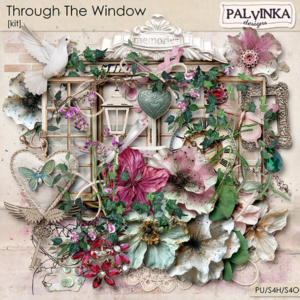 Through The Window Kit