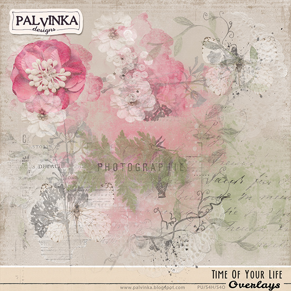 Time Of Your Life Overlays Time Of Your Life Overlays