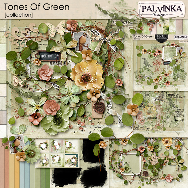 Tones Of Green Collection & QP