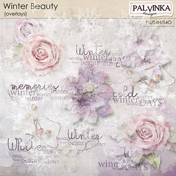 Winter Beauty Overlays and WA