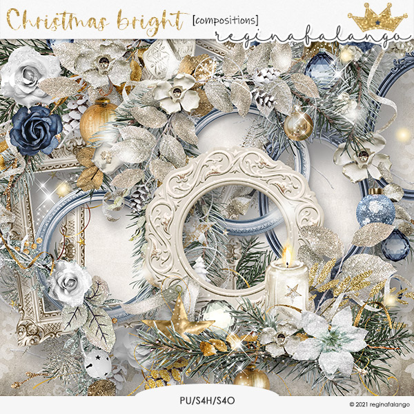 CHRISTMAS BRIGHT COMPOSITIONS