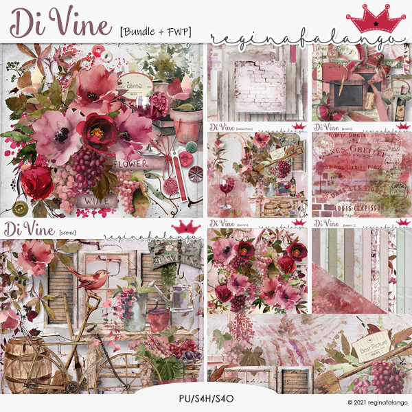 DiViNE BUNDLE + FWP