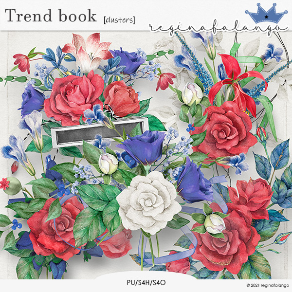 TREND BOOK CLUSTERS