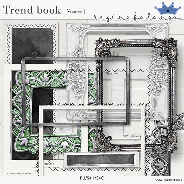 TREND BOOK FRAMES