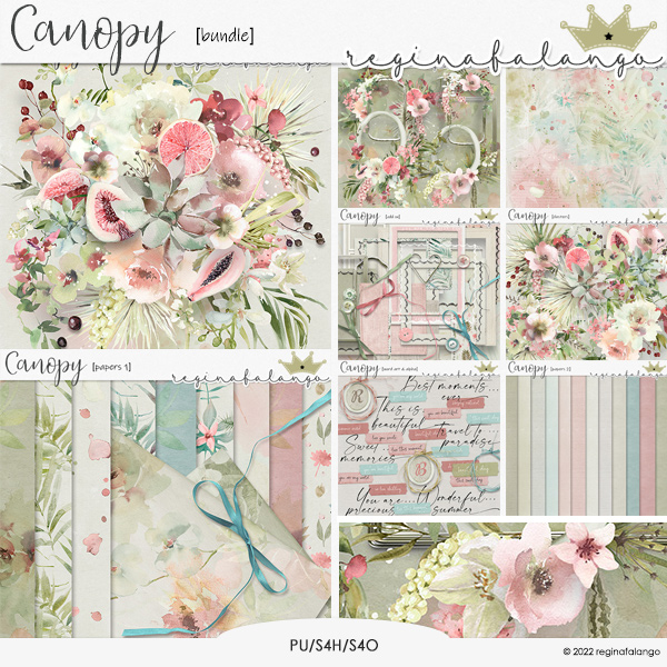 CANOPY BUNDLE 