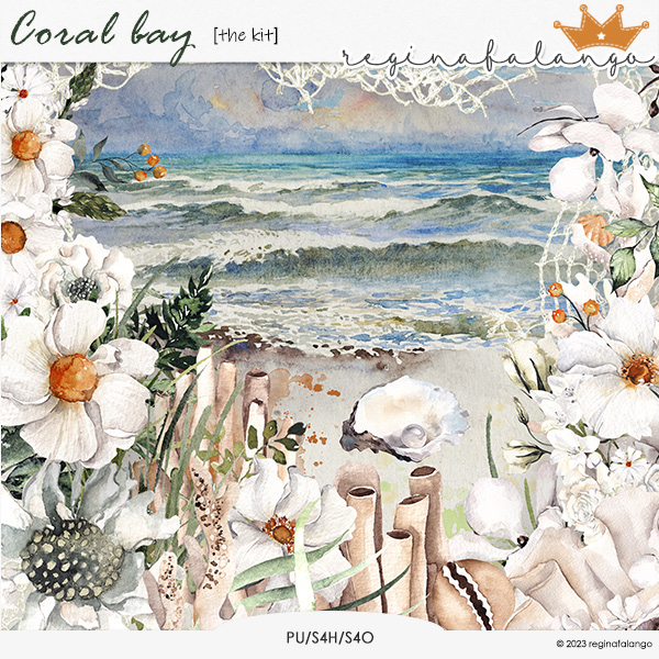 CORAL BAY THE KIT CORAL BAY THE KIT