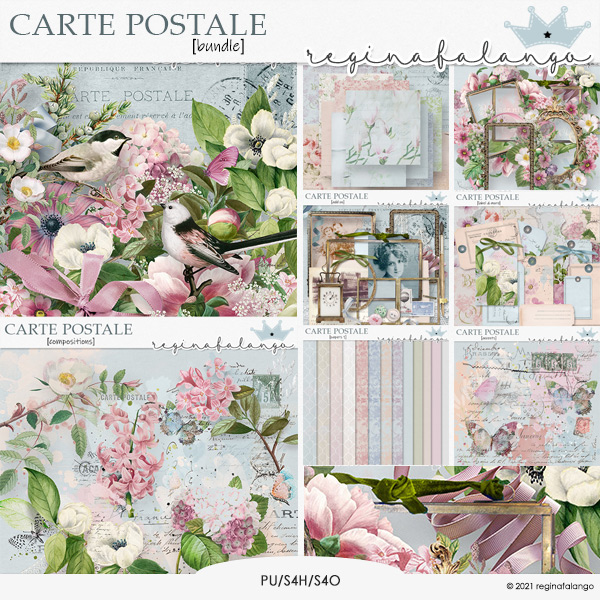 CARTE POSTALE BUNDLE