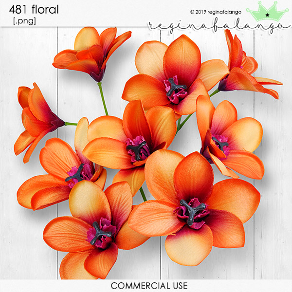 481 FLORAL 