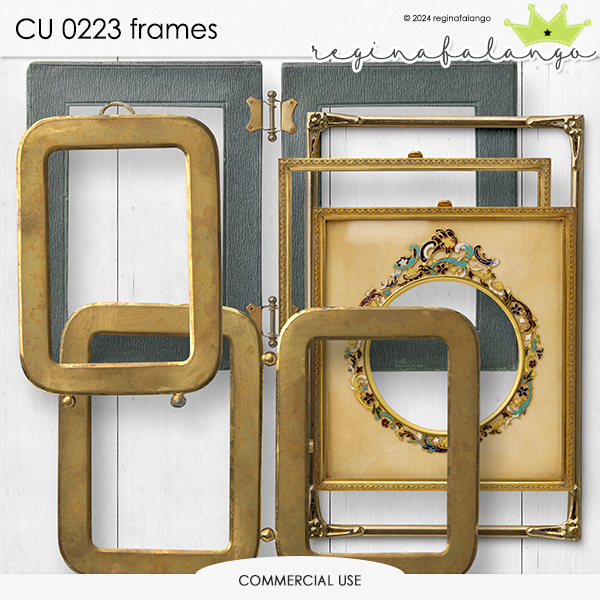 CU 0223 FRAMES