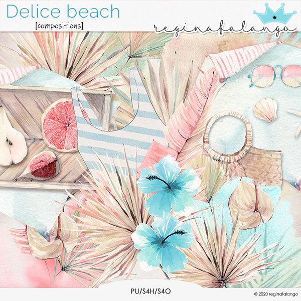 DELICE BEACH COMPOSITIONS