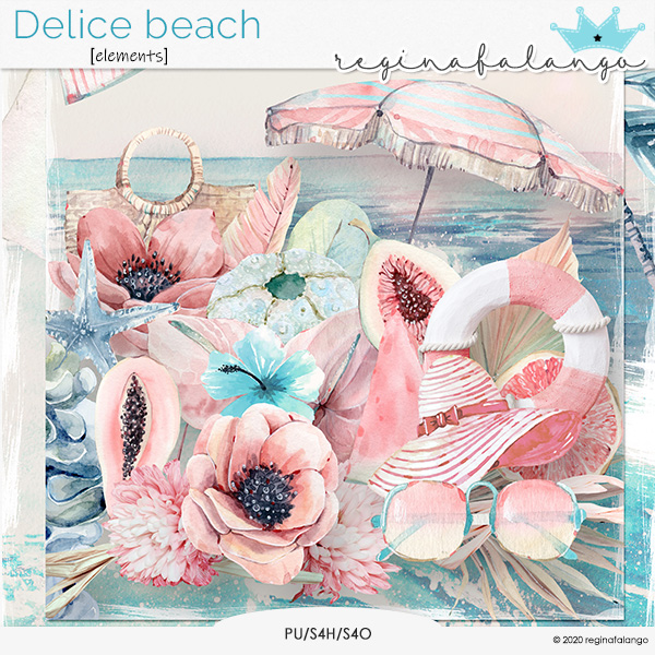 DELICE BEACH ELEMENTS