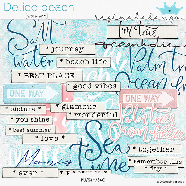 DELICE BEACH WORD ART