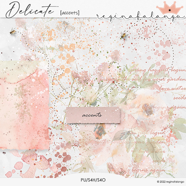 DELICATE ACCENTS DELICATE ACCENTS