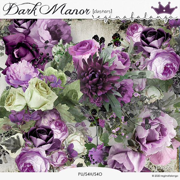 DARK MANOR CLUSTERS