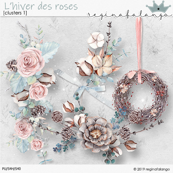 L' HIVER DES ROSES CLUSTER 1