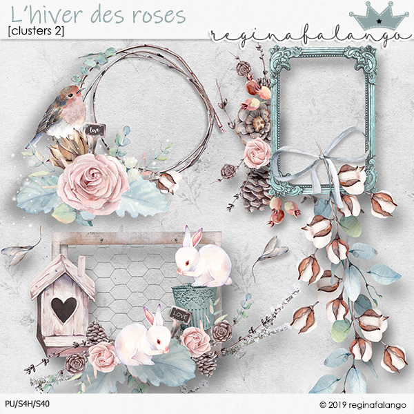 L' HIVER DES ROSES CLUSTER 2 FWP