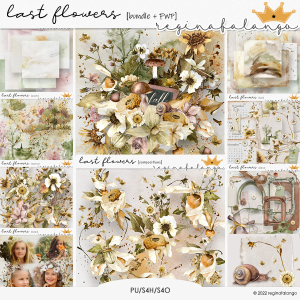 LAST FLOWERS BUNDLE + FWP