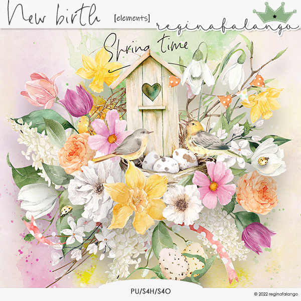 NEW BIRTH ELEMENTS