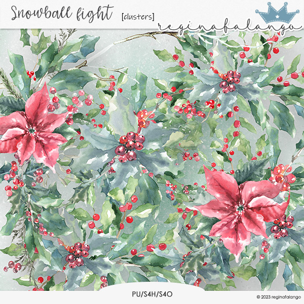 SNOWBALL FIGHT CLUSTERS
