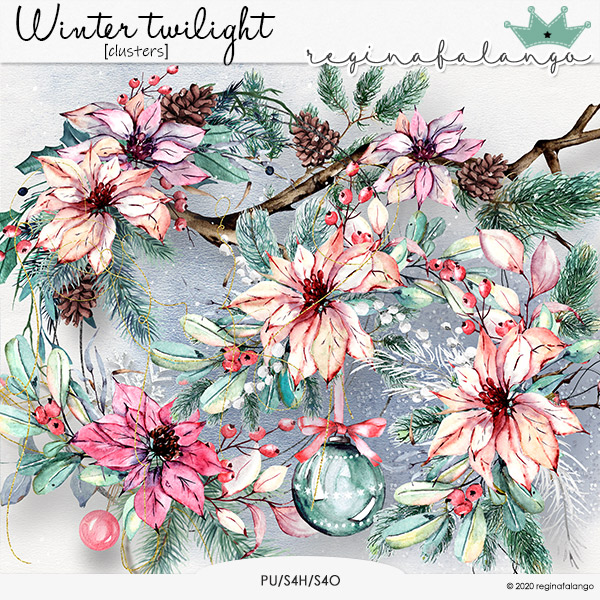 WINTER TWILIGHT CLUSTERS