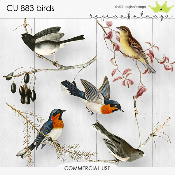 CU 883 BIRDS 