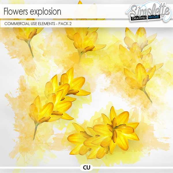 Flowers Explosion - pack 2 (CU elements)