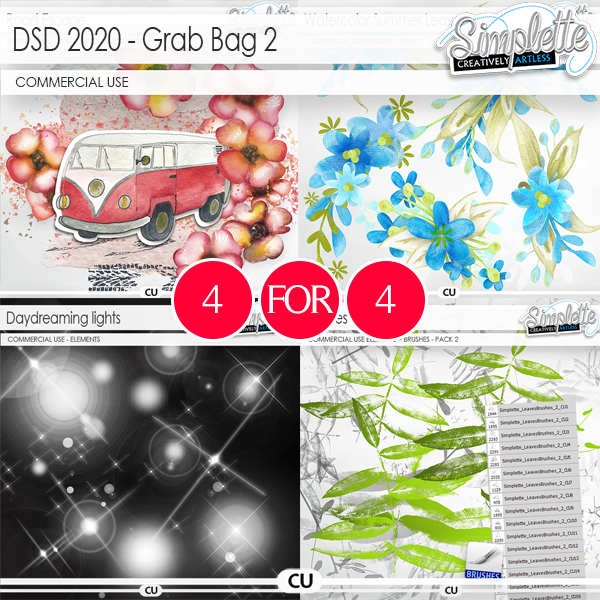 Grab Bag 2 - DSD Event