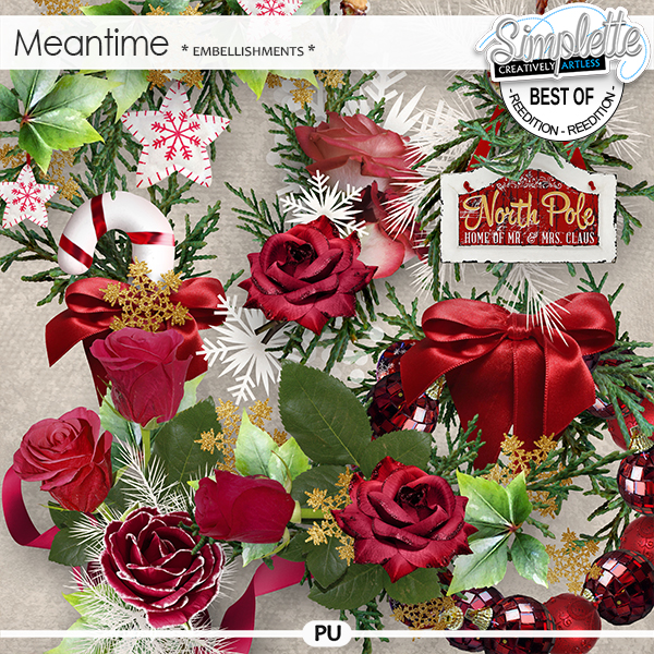Meantime (embellishments) by Simplette