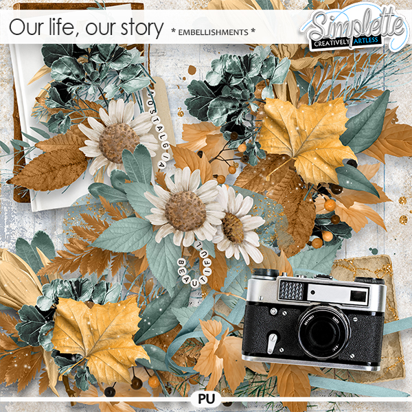 Our life, our story (embellishments) by Simplette