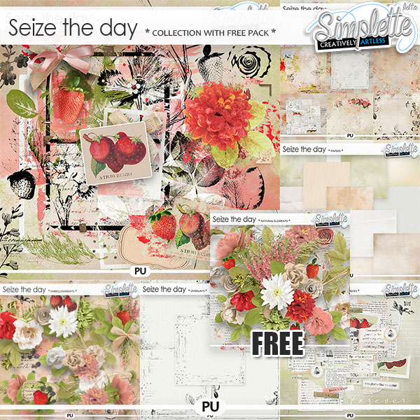 Seize the Day (collection with FREE pack) by Simplette