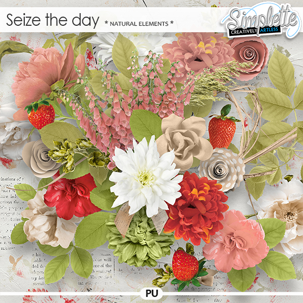 Seize the Day (natural elements) by Simplette