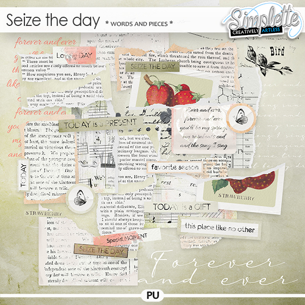 Seize the Day (words and pieces) by Simplette