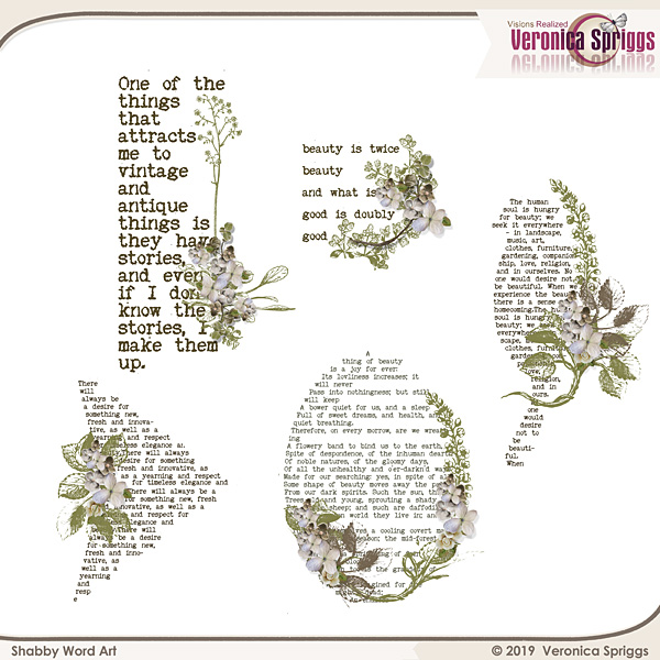 Shabby Chicness  Word Art