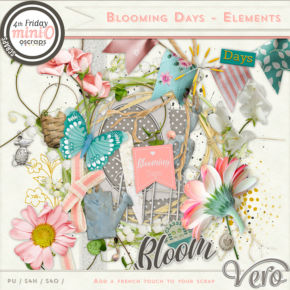 https://www.oscraps.com/shop/Blooming-Days-Elements.html