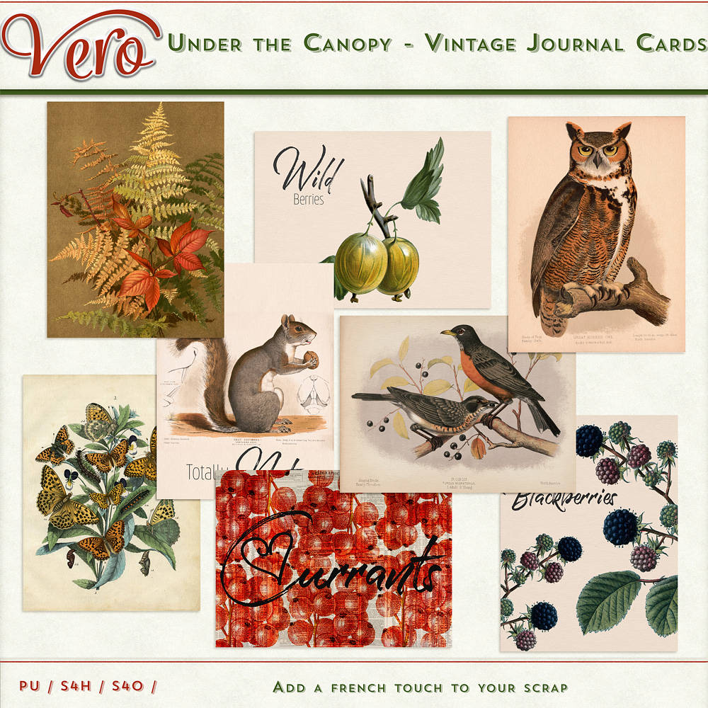 Under The Canopy Digital Scrapbook Journal Cards | Vero | Oscraps