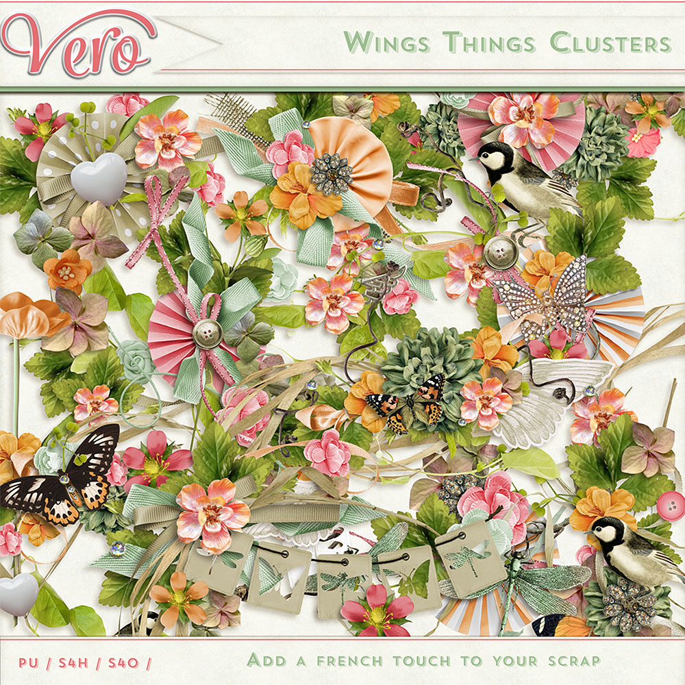 Wings Things Clusters by Vero Wings Things Clusters by Vero