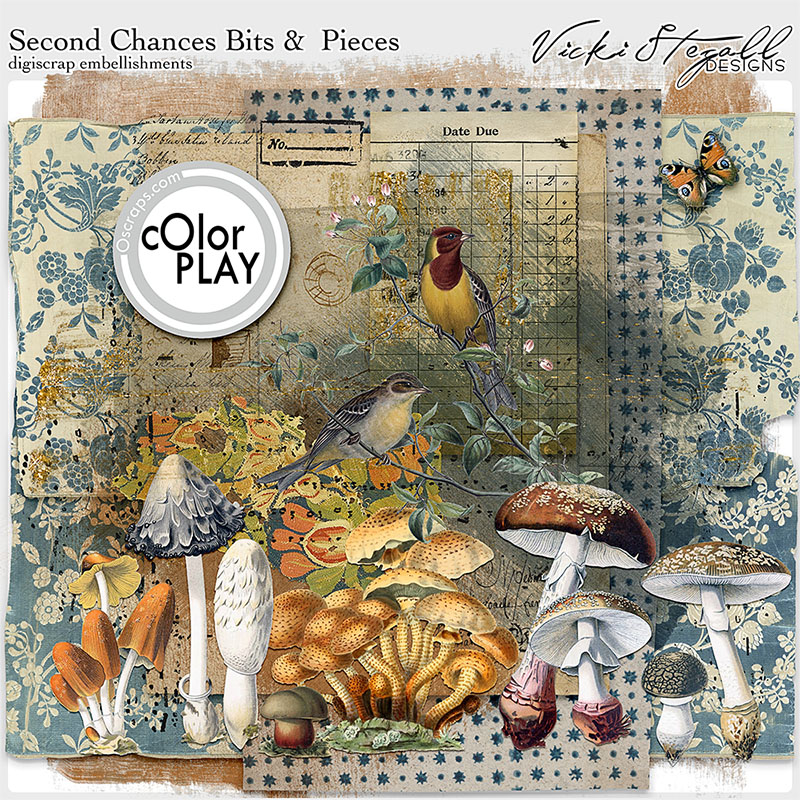 Second Chances Digital Scrapbook Bits and Pieces