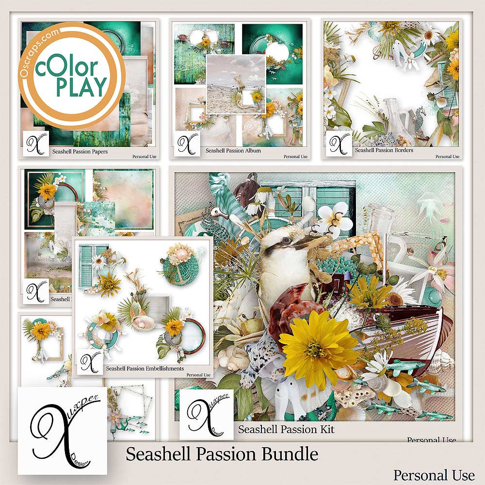 Seashell Passion Bundle