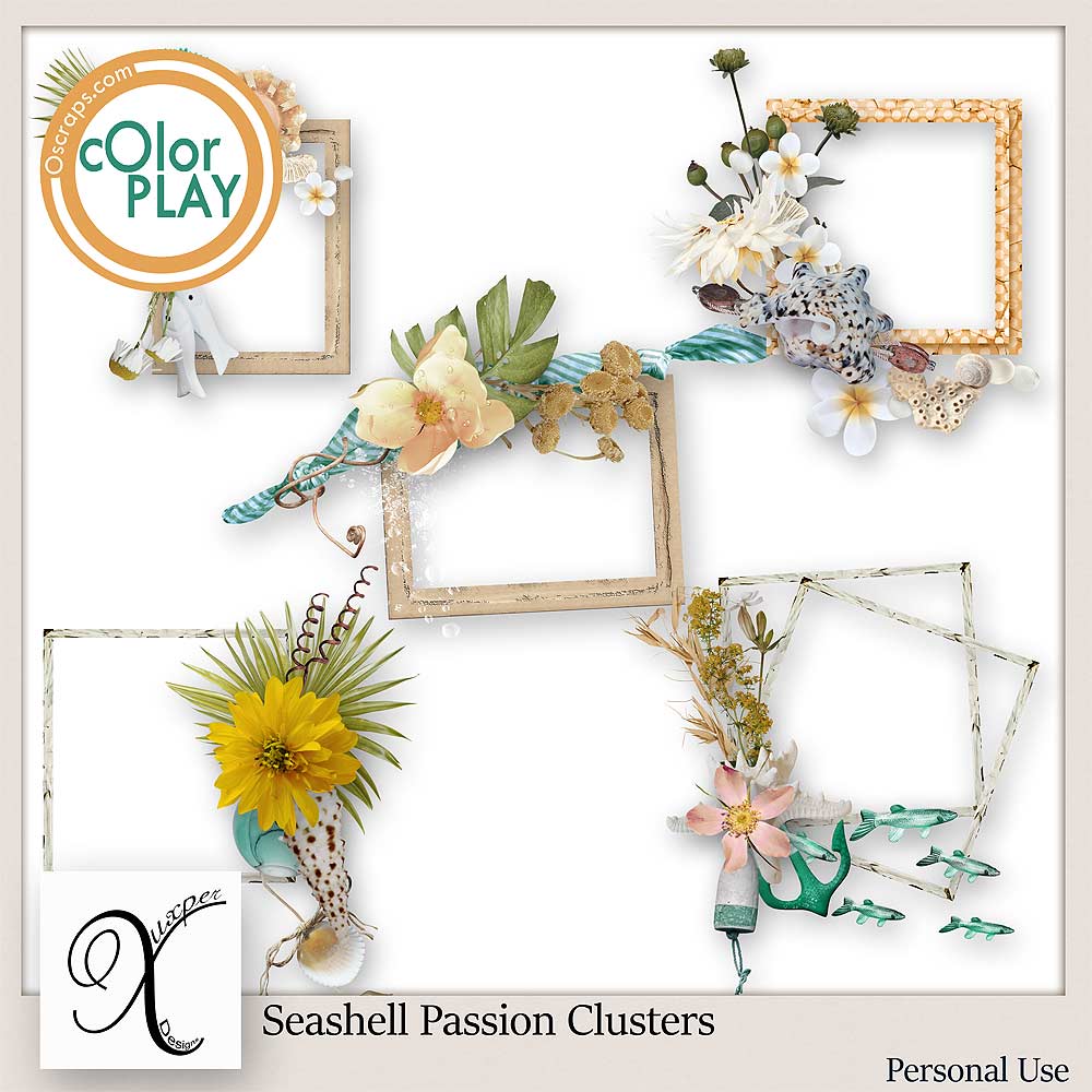 Seashell Passion Clusters