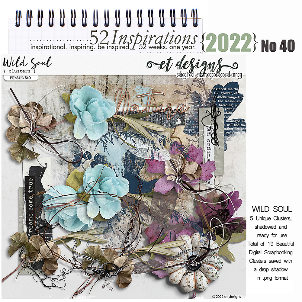 52 Inspirations 2022 No 40 Wild Soul Clusters by et designs