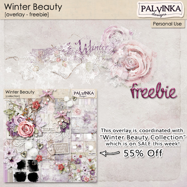 Winter Beauty - Overlay - Freebie